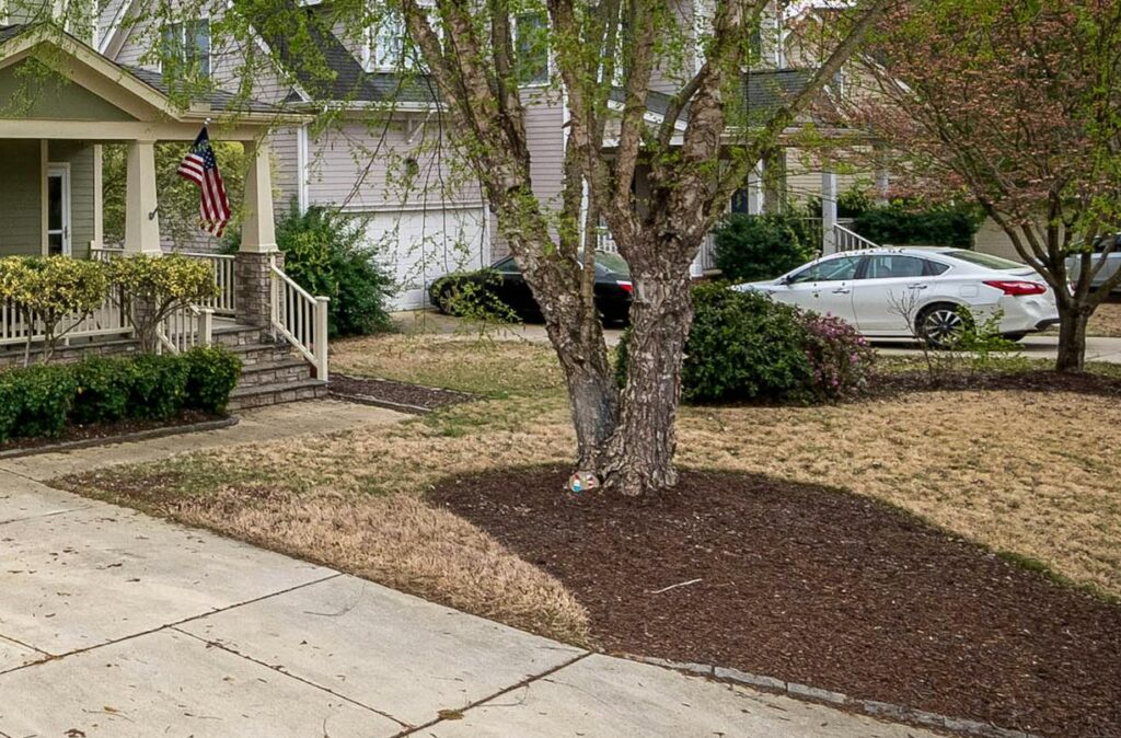 A picturesque suburban home with a lush front yard, driveway, and trees.