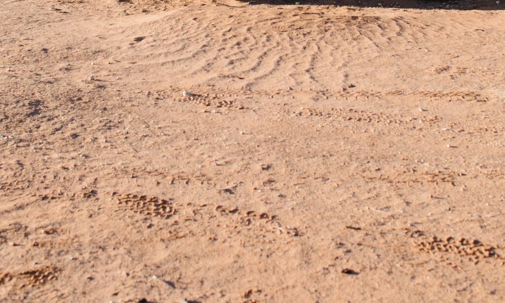 A rusty, abandoned truck in a desolate desert landscape with visible decay and corrosion.